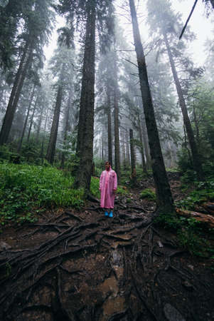 Young woman in a raincoat walks through the forest in the rainの写真素材
