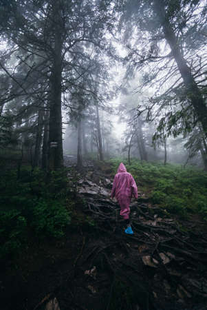 Young woman in a raincoat walks through the forest in the rainの写真素材