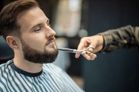 Hairdresser doing haircut of beard using comb and scissorsの写真素材