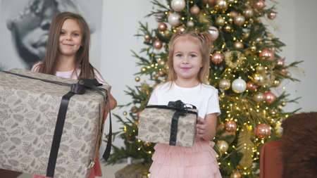 Charming little girls holds a gifts on a background of Christmas treesの写真素材