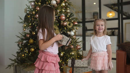 Charming little girls holds a gifts on a background of Christmas treesの写真素材