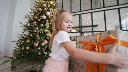 Charming little girl holds a gift on a background of Christmas treesの写真素材