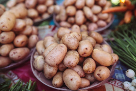Closeup of potatoes on counter of farm market for sale.の写真素材