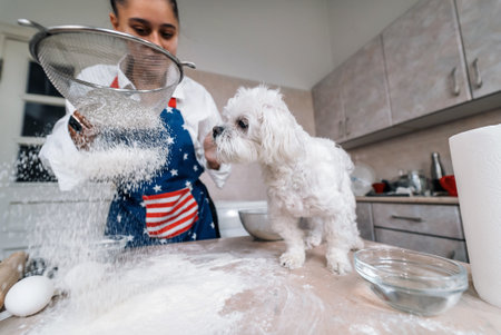 Woman in the kitchen sifts flour together with a dogの写真素材