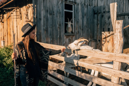 A young beautiful woman feeds a goat behind a fenceの写真素材