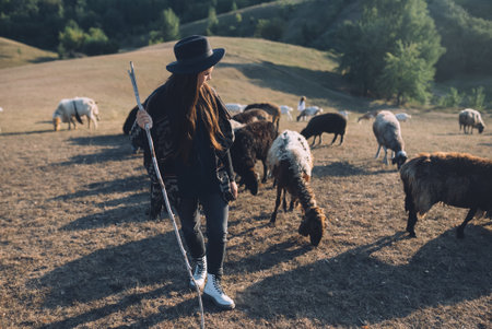 Female shepherd and flock of sheep at a lawn