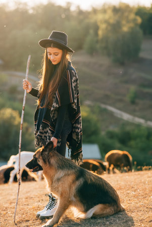 Female shepherd with a dog grazes a flock on the lawnの写真素材