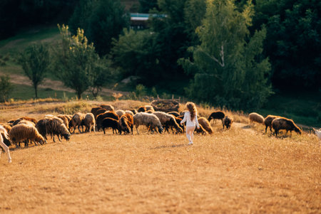 Beautiful meadow with a little girl and animals sheepの写真素材