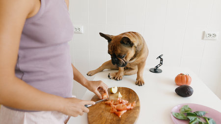 Getting Ready with Fresh, Vibrant Ingredients While Enjoying Time with a Playful Dog Companionの写真素材