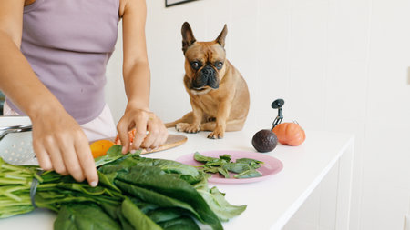 A Collection of Fresh Ingredients and a Curious Dog in a Stylish and Modern Kitchen Environmentの写真素材