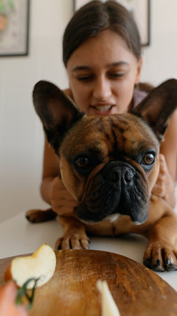 A girl joyfully interacts with her French Bulldog in a cozy kitchen, sharing playful momentsの写真素材
