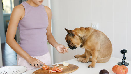 Preparing Delicious Food with a Loving Dog Companion in a Cozy, Inviting Kitchen Spaceの写真素材