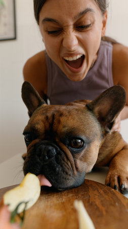 A Playful and Joyful Interaction Between a Woman and Her Adorable French Bulldog Petの写真素材