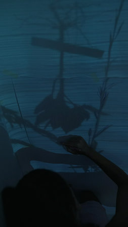 Eerie Shadow Play A Captivating Exploration of Nature, Darkness, and Their Reflectionsの写真素材