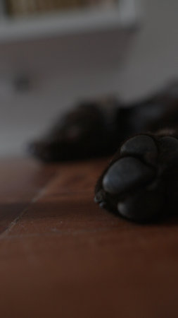 CloseUp of Soft Textured Objects Thoughtfully Arranged on a Smooth Wooden Surface