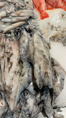 Seafood presentation featuring icy squid bodies and tentacles