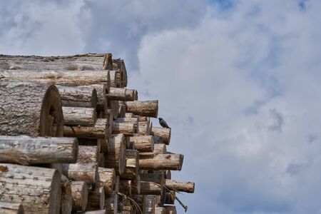 Natural wooden background - closeup of chopped firewood. Firewood stacked and prepared for winter...