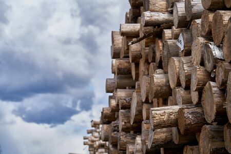 Natural wooden background - closeup of chopped firewood. Firewood stacked and prepared for winter...