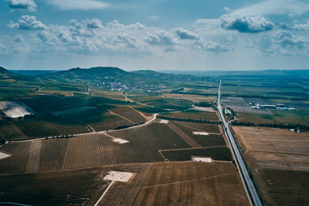 aerial view of beautiful green agricultural fields in germany.の写真素材