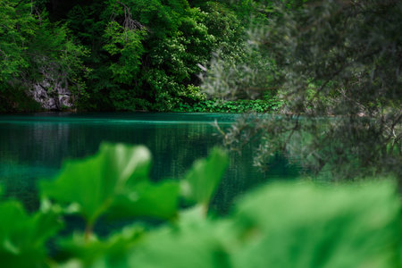 Beautiful turquoise water in Plitvice Lakes National Park, Croatiaの写真素材