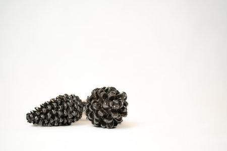 Christmas tree toy bump isolated on white backgroung with free space.の写真素材