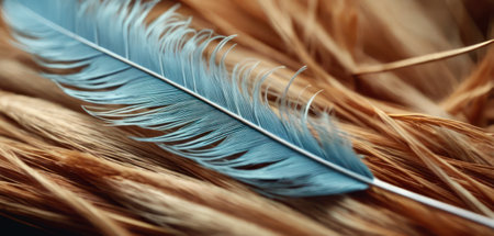 Feathers of a bird on a background of brown feathers.の素材