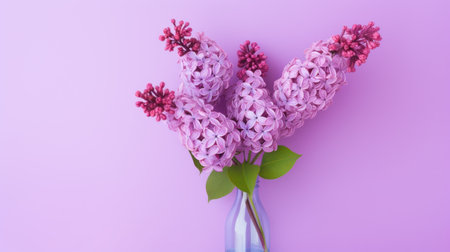 Bouquet of lilac flowers in a vase on a purple backgroundの素材