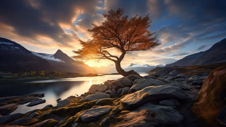 Lonely tree on the lake at sunrise, Scotland, UKの素材