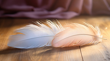 feather of a bird on a wooden table, soft focus backgroundの素材