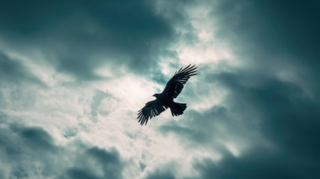 Silhouette of eagle flying in the cloudy sky. Toned.の素材
