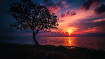 Beautiful sunset over the sea with a tree in the foreground.の素材