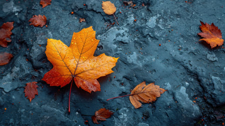 Autumn leaves on the ground. Selective focus. nature.の素材
