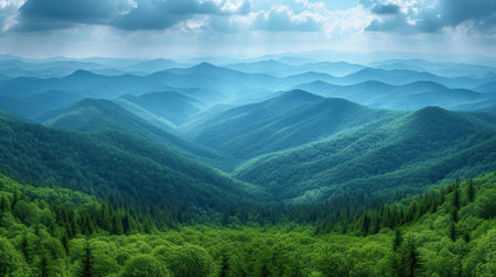 Rainbow in the rainforest at Doi Inthanon National Park, Chiang Mai, Thailandの素材