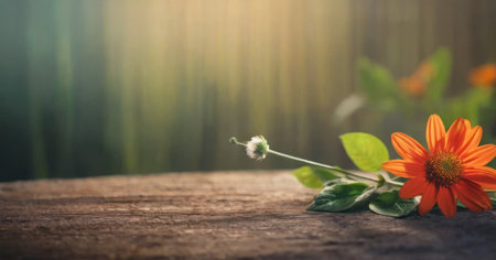 Orange flower on a wooden table in the forest with bokeh backgroundの素材