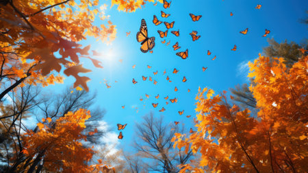 Butterflies fly in the autumn forest. Blue sky background.の素材