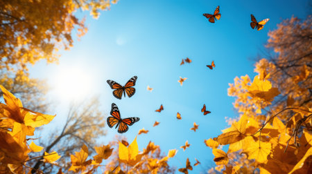 Autumn leaves and butterflies in the forest. Beautiful nature background.の素材