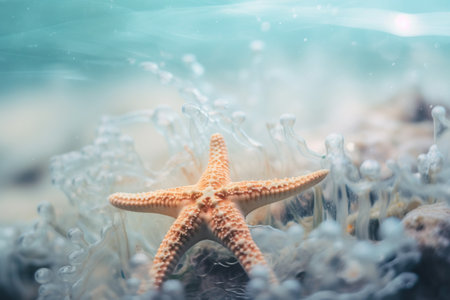 a starfish in the water with bubbles of water around it's edges and a starfish on the bottom of the water's surface. . generative aiの素材