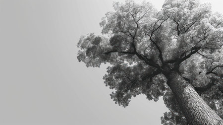 3D illustration of a big tree with white background and copy spaceの素材