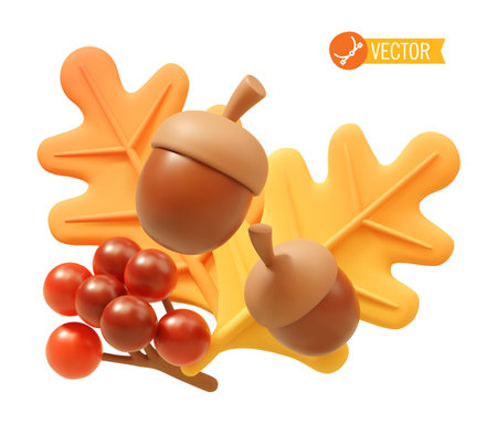Vector orange leaves, acorns and guelder roseのイラスト素材