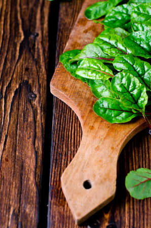 Fresh chard leaves 