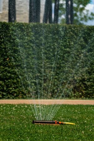 Watering the lawn in summer with a lawn sprinklerの写真素材