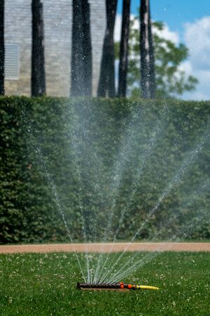 Watering the lawn in summer with a lawn sprinklerの写真素材