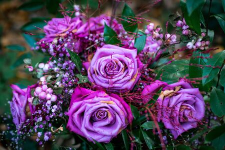 Beautiful flower arrangement made of blue and purple roses in different shadesの写真素材