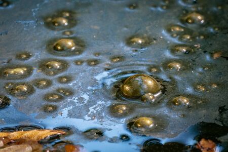 Golden bubbles of sludge gas on the watersurface of a swampの写真素材