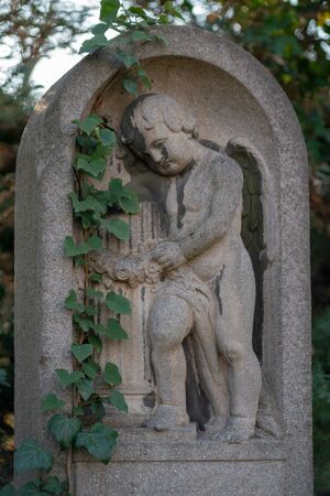 Statue of a cherub on a tombstone overgrowing with ivyの写真素材