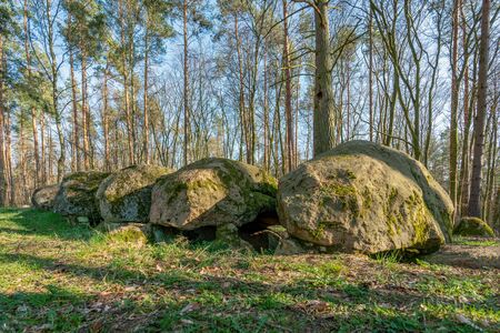Prehistoric megalith dolmen Kuechentannen (kitchen denns)  near Haldensleben in Germanyの写真素材