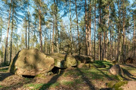 Prehistoric megalith dolmen Kuechentannen (kitchen denns)  near Haldensleben in Germanyの写真素材