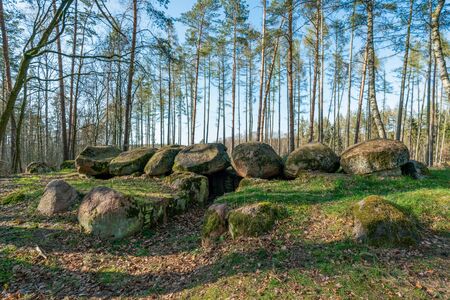 Prehistoric megalith dolmen Kuechentannen (kitchen denns)  near Haldensleben in Germanyの写真素材