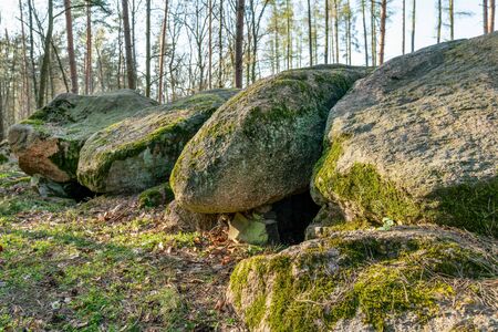 Prehistoric megalith dolmen Kuechentannen (kitchen denns)  near Haldensleben in Germanyの写真素材