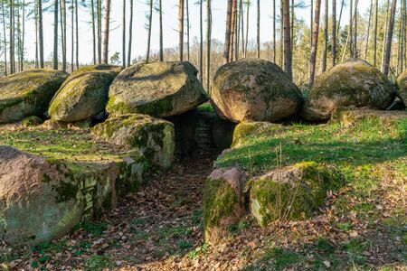 Prehistoric megalith dolmen Kuechentannen (kitchen denns)  near Haldensleben in Germany
